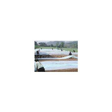 UV Resistant Multi Color Non Woven Landscape Fabric with 100% Polypropylene