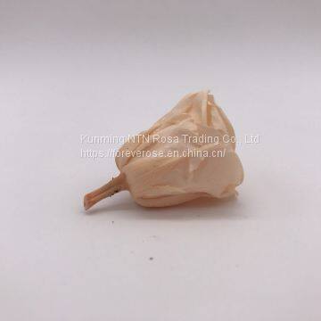 Preserved Rose Flowers for Wedding Decoration Flower Arrangement photo-4