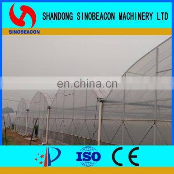 Top Quality China Single Span Polyethylene Film Greenhouse Manufacturer