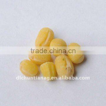 organic yellow mung bean