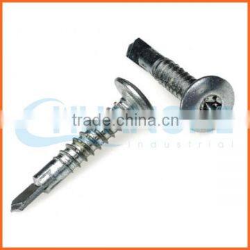 China Supplier Anti-theft Screws/security Screws Fasteners photo-3