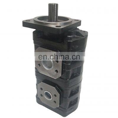 Custom gear pump P25 P25X P25X178 P25X178B1R series plunger high pressure pump P25X178B1R717-7BRS12-1