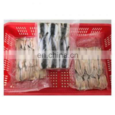 Good quality BQF frozen clean anchovy fish fillet