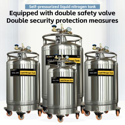 Cambodia-stainless steel liquid nitrogen container-YDZ-150 liquid nitrogen storage dewar