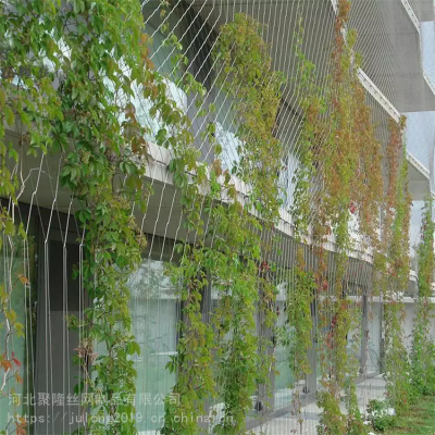 Stainless Steel Wire Rope Mesh Net for Green Wall Cable Mesh