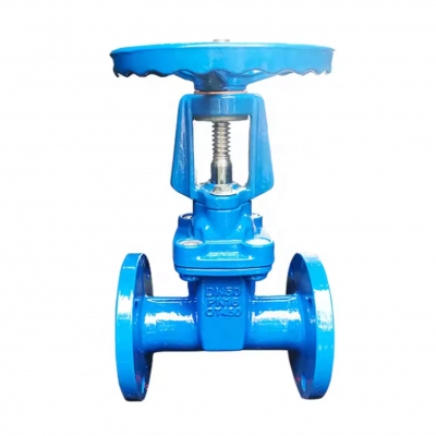 Z41X-16Q/Z41X-10Q PN10 PN16 DN50 DN100 Water Seal Gate Valve Rising Stem Gate Valve photo-6