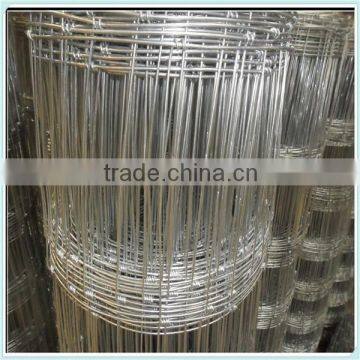 Grassland Fence Wire Mesh/Horse Fence/sheep fence