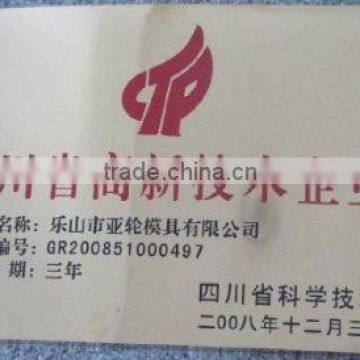 SICHUAN HIGH & NEW TECH ENTERPRISE CERTIFICATE