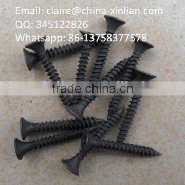 Quality Bugle Head Phillip Drive Fine Thread Gypsum Drywall Screw photo-2
