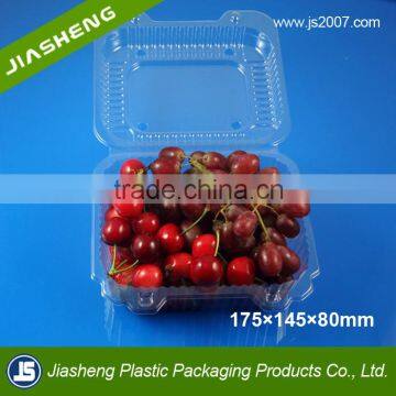 PET Rectangular Shape Plastic Disposable Fresh Fruit Packaging Punnets for Grape or Cherry