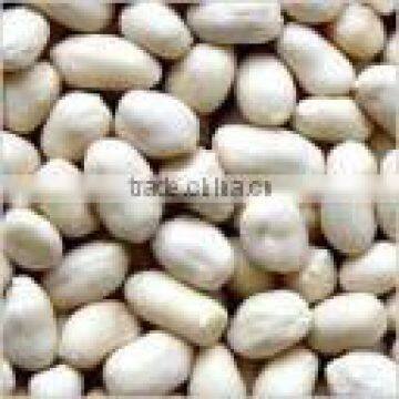 Roasted Blanched Peanuts