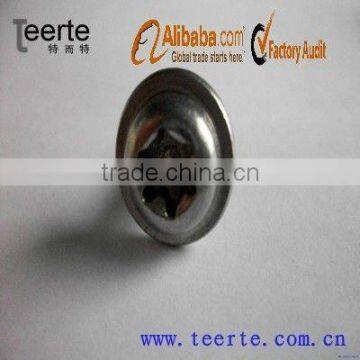 flange head six-lobe tamper stainless steel screw