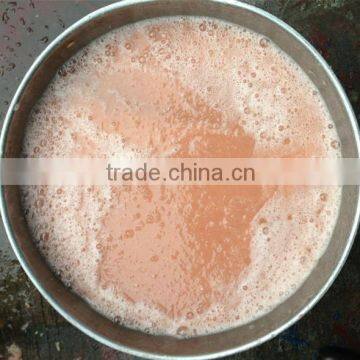 Wide Output Range Full Stainless Steel Fruit & Vegetable Processing Machines Strawberry Pulping Machine photo-3