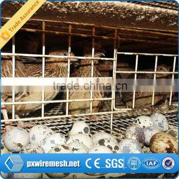 Commercial Quail Cages photo-3