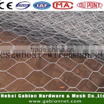 hot dipped galvanized chicken wire mesh/electro galvanized chicken wire mesh