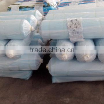 Hot Sale LDPE Construction Film Manufactured in China