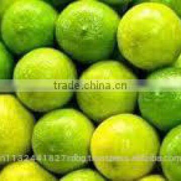 fresh lemon exporter/indian lemon/indian fresh lime supplier