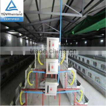 (Germany TUV Rheinland)3 or 4 layer(factory)egg hen layer cage hot dipped 20years lifetime