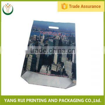 China Manufacturer Portable ldpe shopping bag,grocery shopping bag