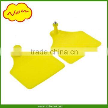 Blank yellow ear tag