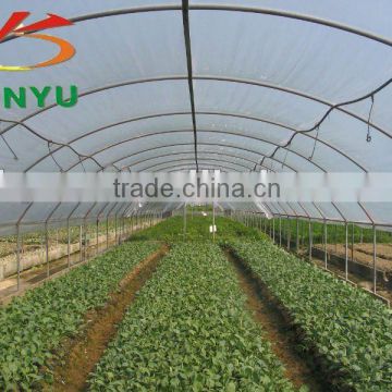 8M single span high tunnel greenhouse