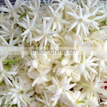 Jasmine Essential Oil 100% Natural |100% Pure Jasmine Oil | Ruh Chameli Oil photo-4