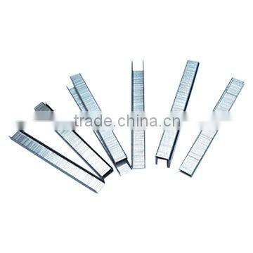 80 series multi-wire staple