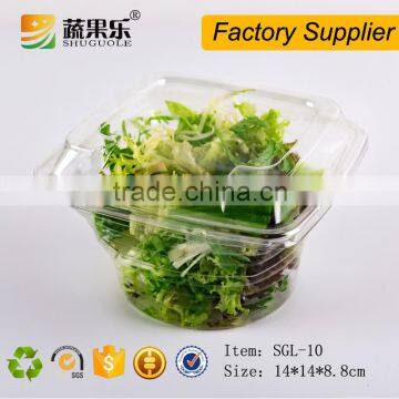 PET Transparent Plastic Vegetable Salad Clamshell Container photo-2