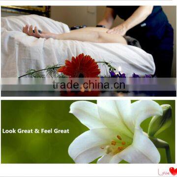 Skin Roller For Face Skin Care 540 Derma Roller/ Micro MicroneedleAnti Aging Needle Rolling System For Wrinkles Scars Acne Face Needling Roller photo-6