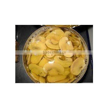 China Canned mushrooms/canned champignon/canned shiitake mushroom