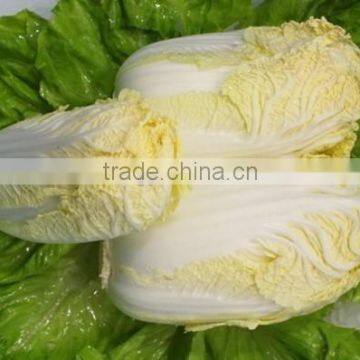 Baby Cabbage photo-2