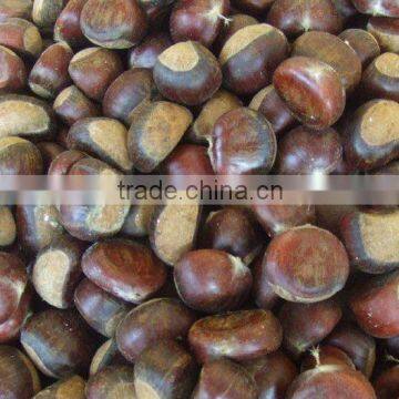 wholesale chestnut price 2012