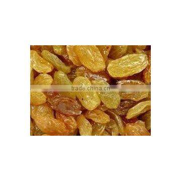 Golden yellow color raisin