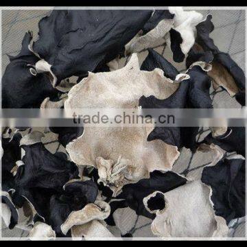 Dried White at the back of the black fungus for good sale