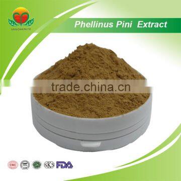 2015 Hot Sale Phellinus Pini Extract Powder