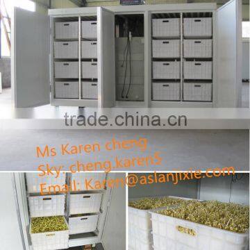 automatic bean sprout machine/bean sprout growing machine