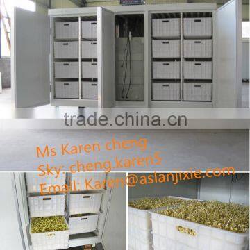 Automatic Bean Sprout Machine/bean Sprout Growing Machine
