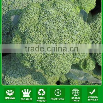 MBR02 Zhulv mid maturity dark green cauliflower seeds, hybrid broccoli seeds