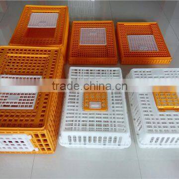 Goldenest Large Plastic Chicken Feeders and Drinkers Used Poultry Crates Chicken Waterer Feeder for Sale Cheap Price JCJ06-02