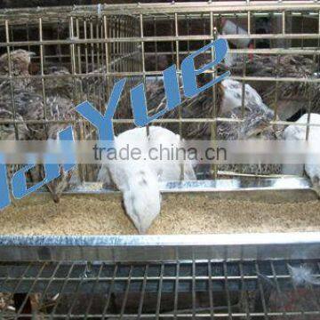 TAIYU Cage for Quail Farm