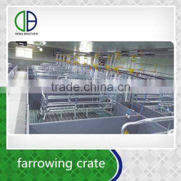 For sale china factory supply birthing pig box