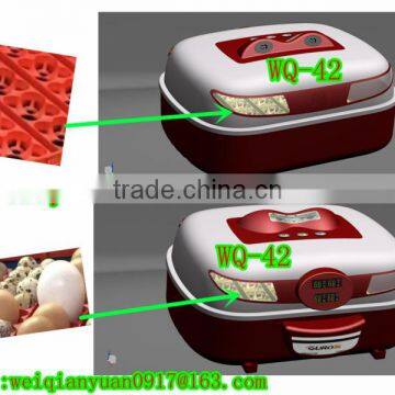 New Type 42eggs incubator/Weiqian mini incubator/family use incubator