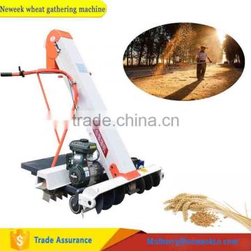 Neweek sunning ground cereal bagging sesame wheat gathering machine