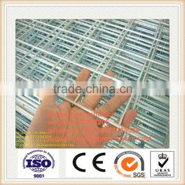 Low carbon steel hot dipped galvanization Welded Wire mesh for bird cages