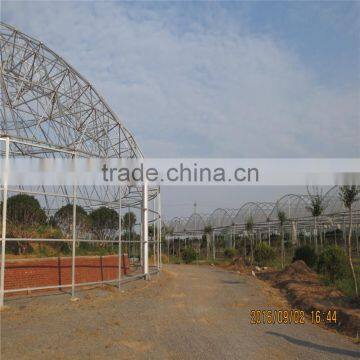Chosen Greenhouse Project Mushroom Used Commercial Greenhouses photo-5