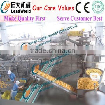 whole Fruit processing line