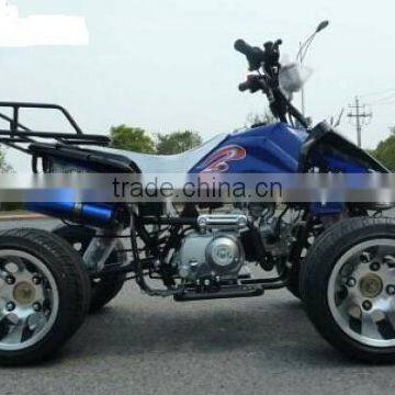 110cc Mini Atv for Sale(ATV110-012) photo-4