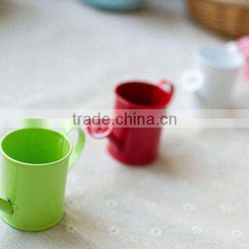 Cheap Small Indoor 2 or 2.5 Inches White Metal Flower Watering Can Mini Planter for Succulents photo-5