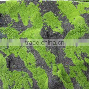 artificial moss grass wall for decoration real artificial moss mat