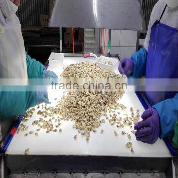 Fresh Frozen Boiled Clam Variety Shell-On photo-3